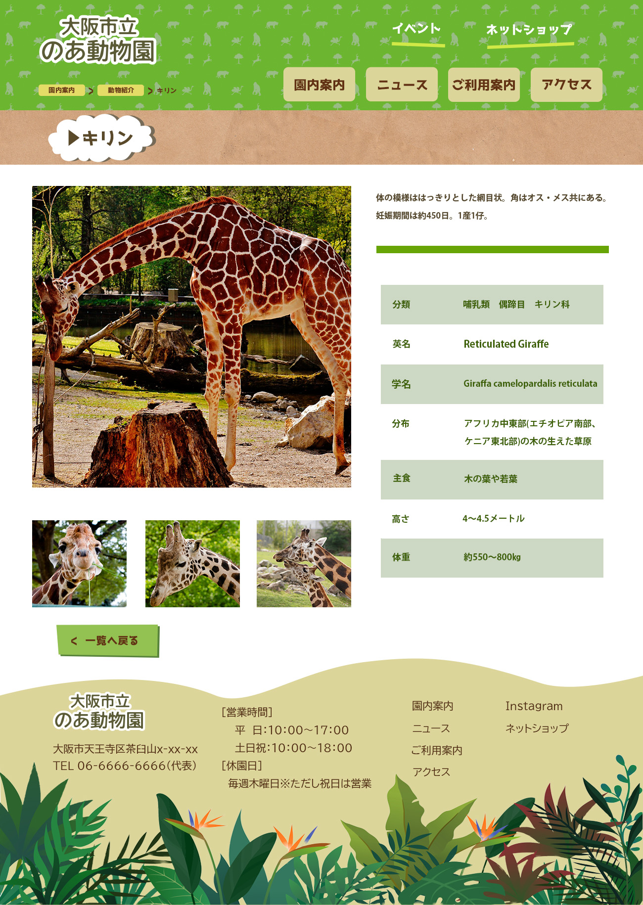 PCデザインカンプ