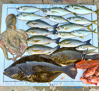 7月7日の釣果写真