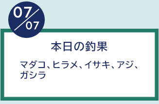 7月7日の釣果
