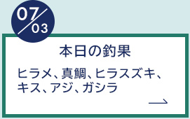 7月3日の釣果