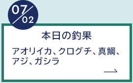 7月2日の釣果